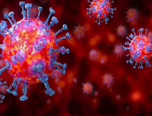 Working Through A Pandemic